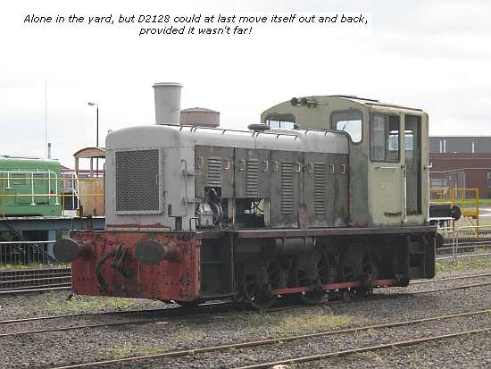 D2128 alone in yard