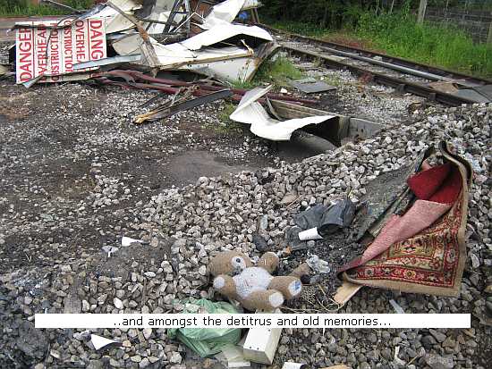 Old friend (?) amongst debris
