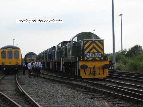 Forming up cavalcade of Teddy Bears