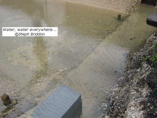 New shed floor ... lots of water