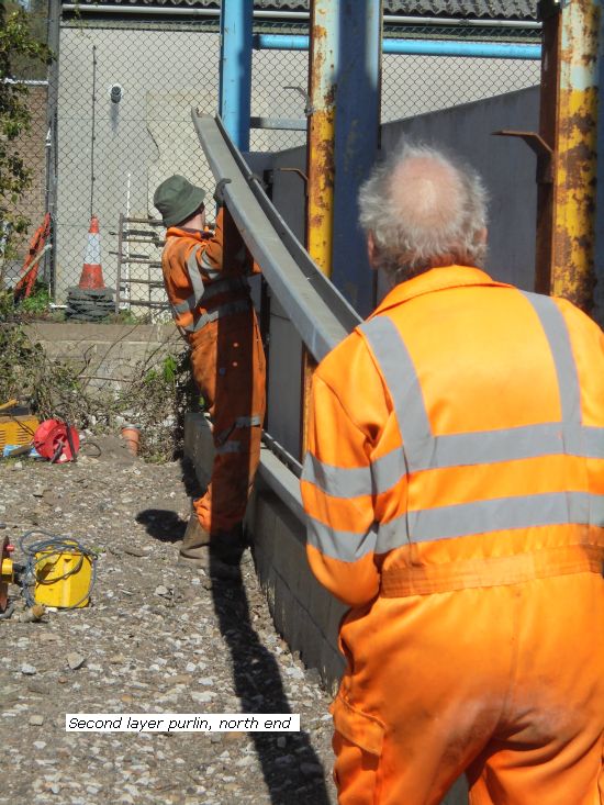 Installation of 2nd layer purlin, North End (of the new shed)