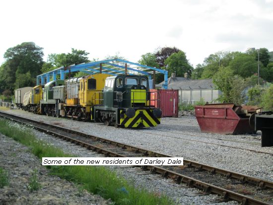 Some of the new loco residents at Darley