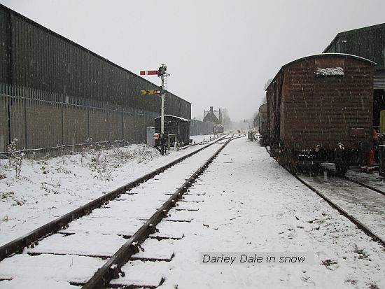 DD in snow 8233