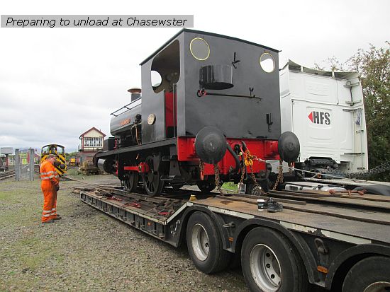 9662 Wwoo Chasewtr