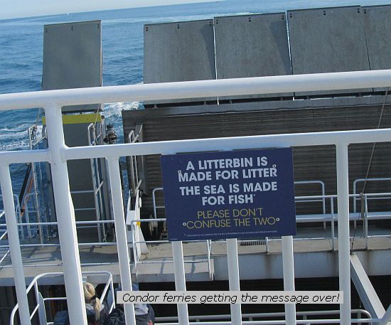 9588 litter