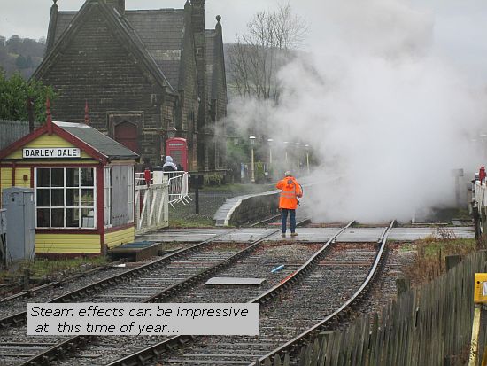 0399 steam