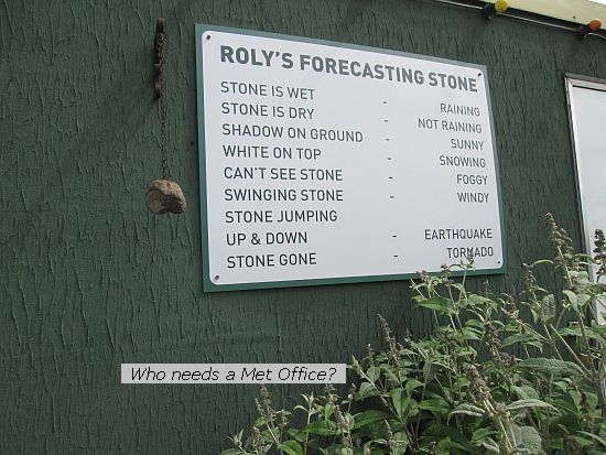 0131 Roly