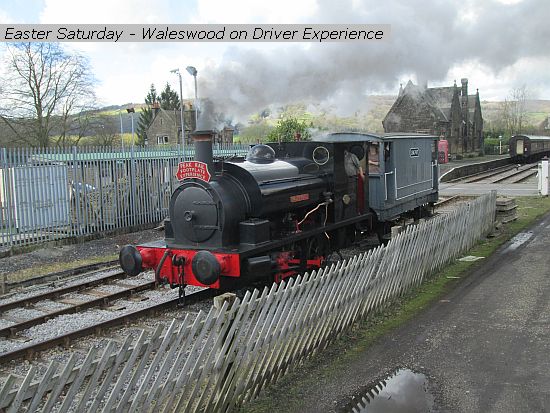 9916 Waleswood